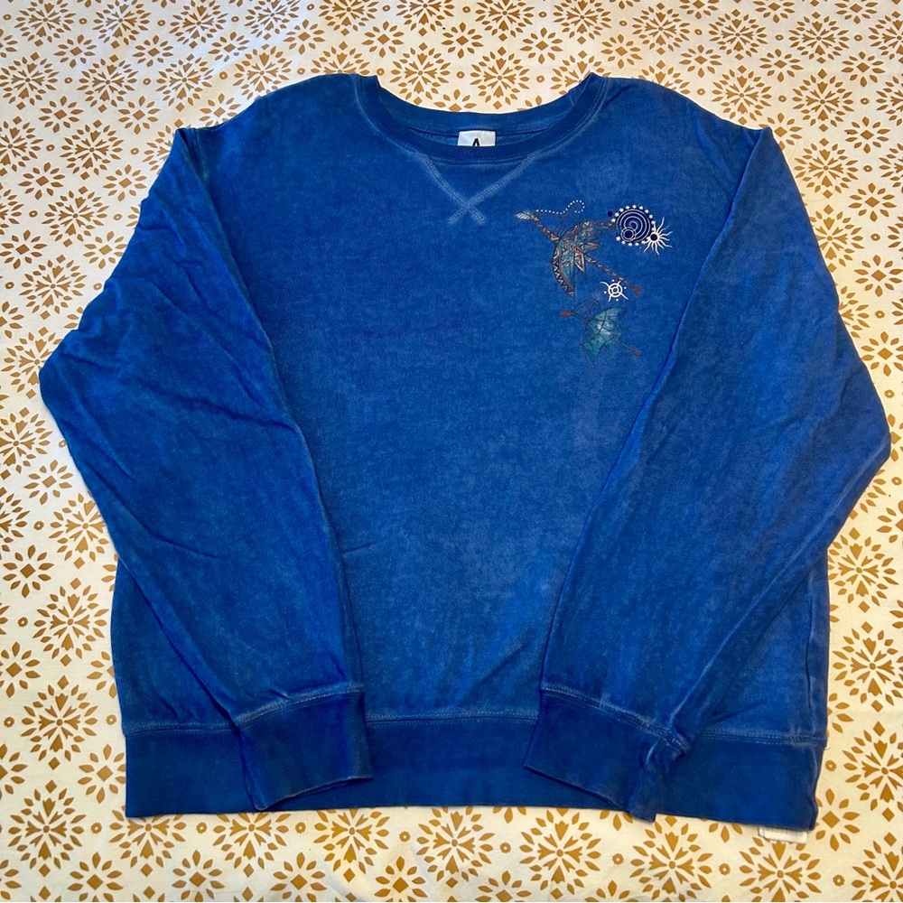 Disney Avatar Flight of Passage Sweatshirt